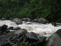 228 226 IMGP1869
